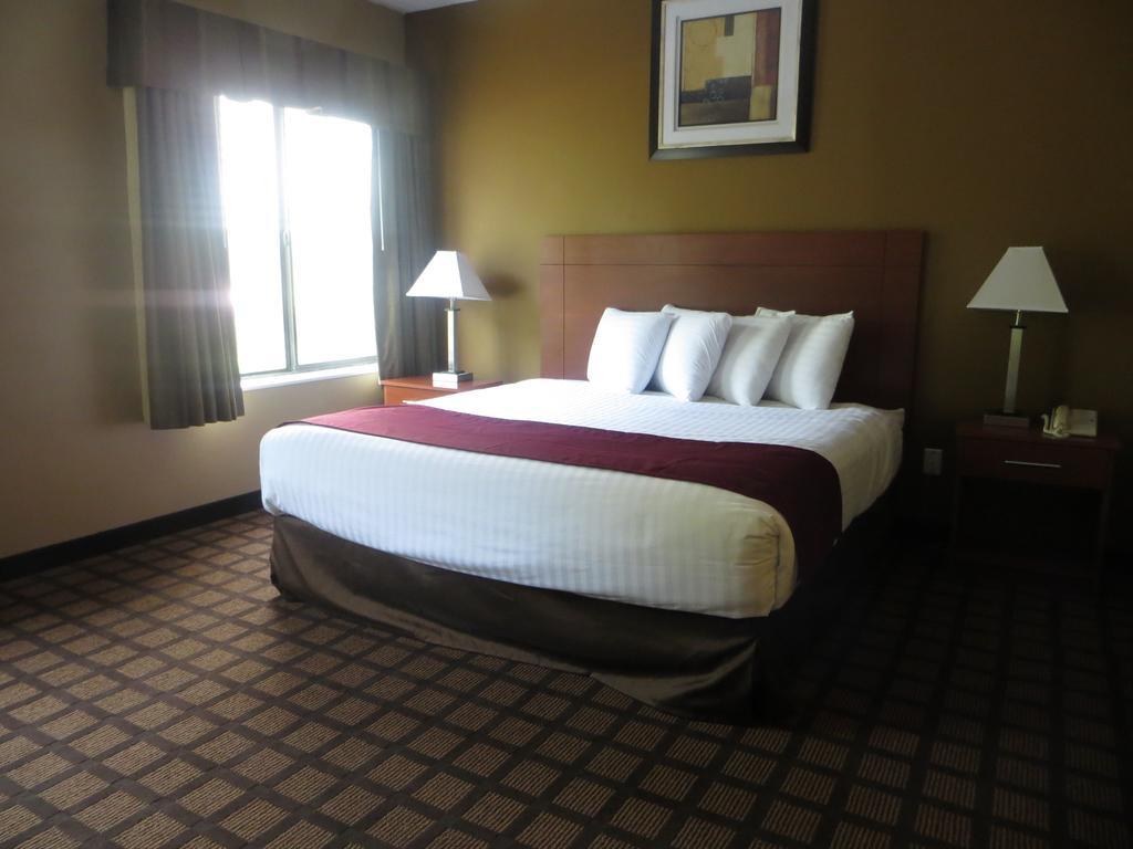 Baymont By Wyndham New Buffalo Zimmer foto