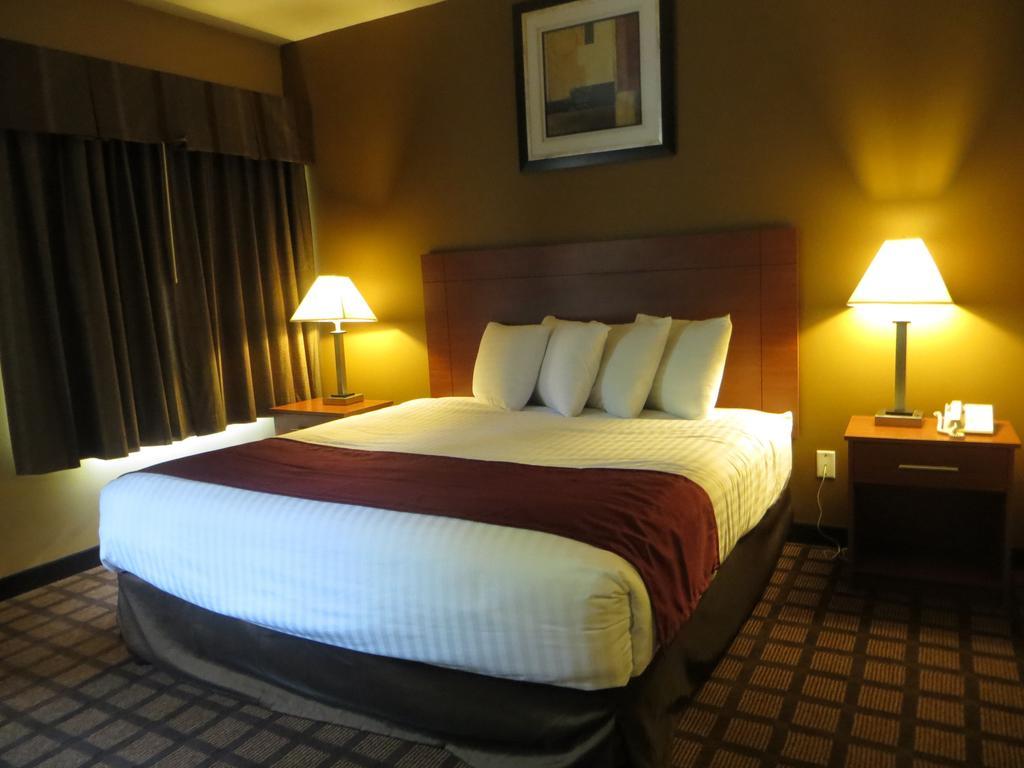 Baymont By Wyndham New Buffalo Zimmer foto